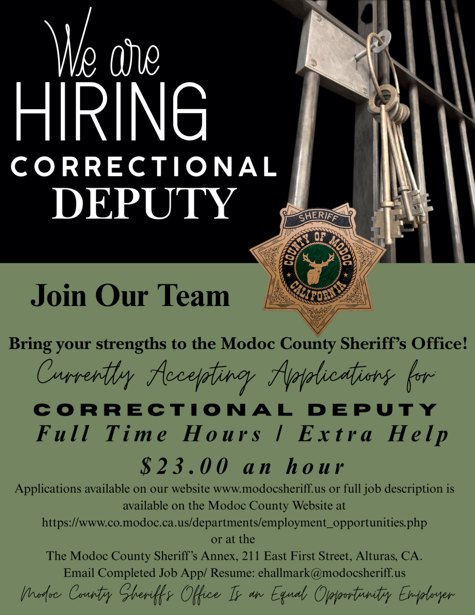 Hiring Correctional Deputy